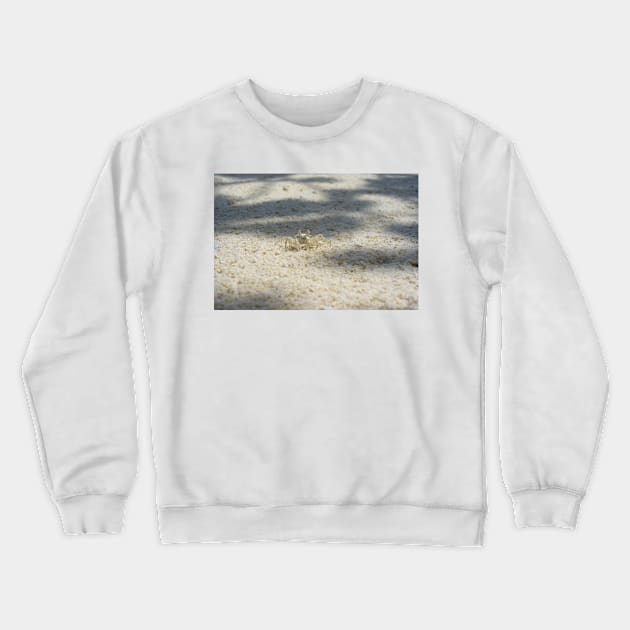 Cute Sand Crab Crewneck Sweatshirt by KaSaPo